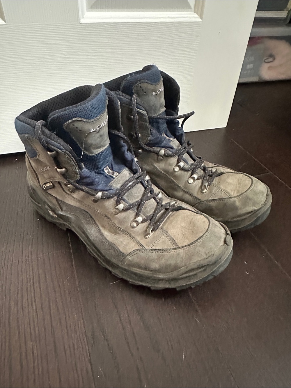 Lowa Men's Gore Tex Hiking Boots